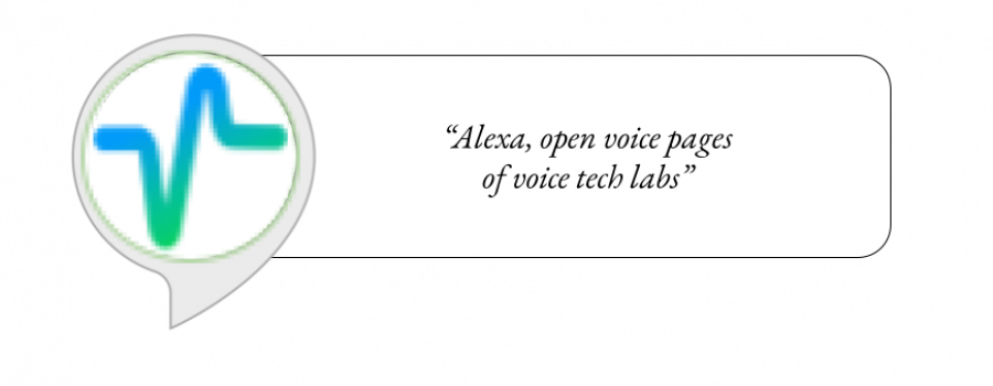 Voice Pages for VoiceTech Labs